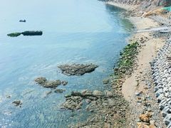 -星海湾跨海大桥