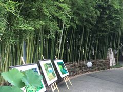-陈家山荷花公园