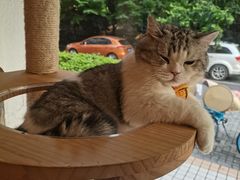 -VR+乐园·VR电竞·家庭亲子·密室逃脱·轰趴团建