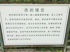 -横道河子东北虎林园
