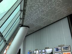 -WFC会仙楼观景台