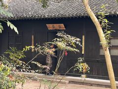 -法云古村