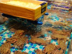 -映像威海·威海宴(威高广场店)