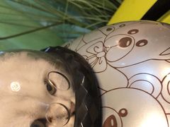 -亚宠动物医院·芭比堂宠物医院(盘龙店)