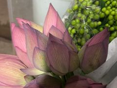 -循礼门鲜花花市(武汉循礼门店)