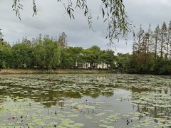 -上海长兴岛郊野公园