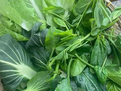 -老熊家·野生菌·生态农场餐厅