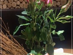 -渔寿司·日本料理(艾尚天地店)