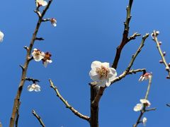 -苏州上方山国家森林公园