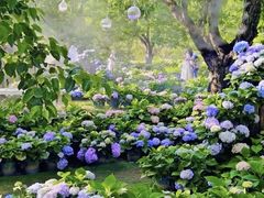 -名花谷生态庄园