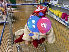 -麦德龙(包河店)