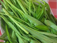-九门寨石锅鱼烤鱼