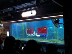 -顺德南宏海立方海洋公园