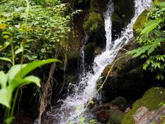 -瓦屋山景区