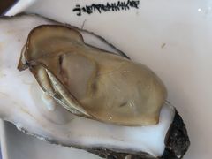 -抹直口特色菜馆(一店)