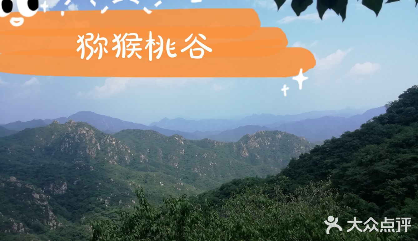大岭沟猕猴桃谷