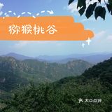 大岭沟猕猴桃谷