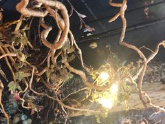 大堂-恰八斗·猛火长沙菜(国贸店)