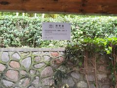 -汤山一号温泉度假区