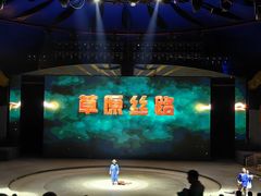 -中国马镇舞马世界主题乐园