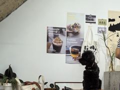 -素咫咖啡CLIFEROSE(新安店)