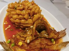松鼠桂鱼-沈大成(南京东路店)