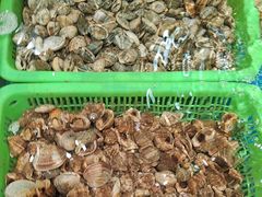 -和源祥·日照菜扛把子(万平口一店)