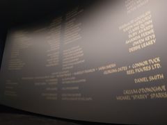 -博纳国际影城IMAX(中央大道店)