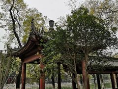 -莲湖公园