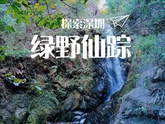 -马峦山郊野公园