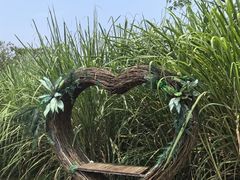 -桤木河湿地公园