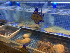 -小平岛開海水饺(浑南店)
