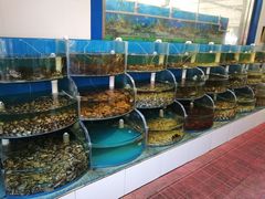 水产区-同道蒸汽海鲜烧烤自助(刘庄夜市店)