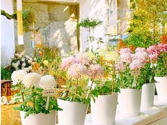 -杭州植物园