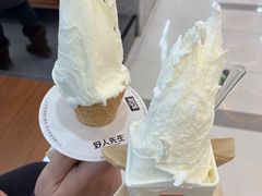 -野人先生Gelato(上海长宁龙之梦店)