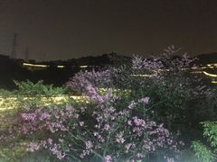 -梅峰山地公园