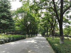 -白塘生态植物园