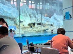 -帝企鹅自助餐厅•儿童岛•真企鹅(长隆企鹅酒店)