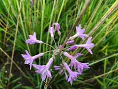 -贵阳市花溪国家城市湿地公园