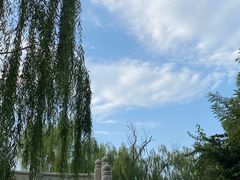 -迎泽公园