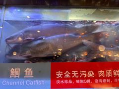 -三江源活鱼现烤(维多利摩尔城店)