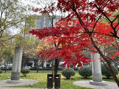 -唐城墙遗址公园