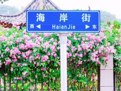 -烟台山景区