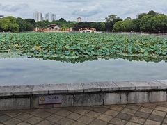 -建水文庙
