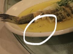 -同济大酒店(绿宝广场店)