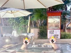 -碧水湾温泉