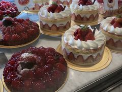 -乐天免税店(明洞店)