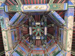 -颐和园