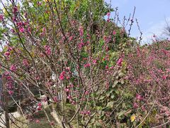 -泉州海丝野生动物世界