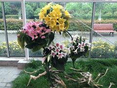 iphone_upload_pic-上海鲜花港
